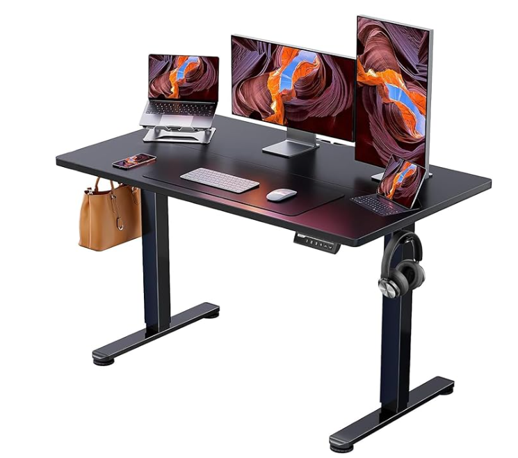 ErGear Height Adjustable Electric Standing Desk